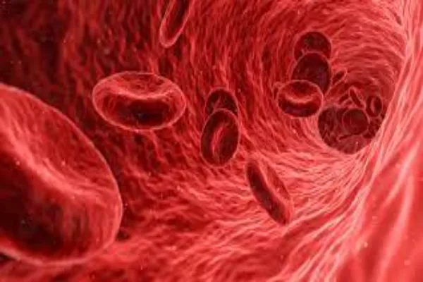 Interesting facts about humans blood
