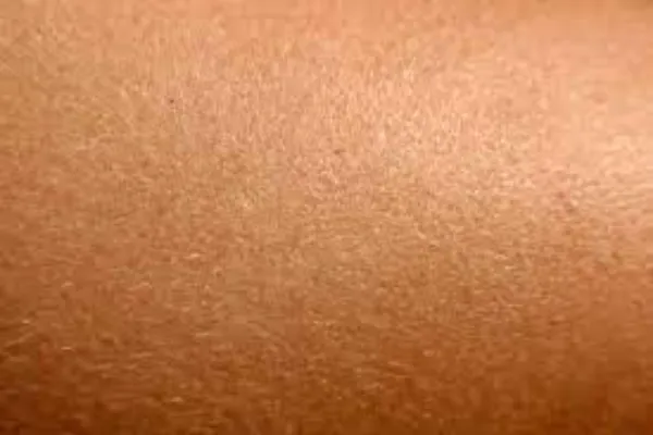 Interesting facts about humans skin