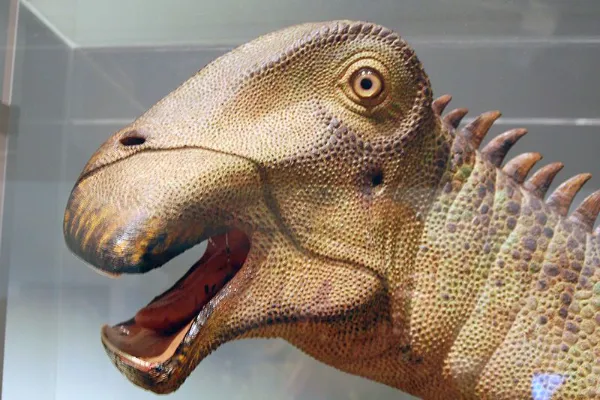 Nigersaurus – Dinosaur That Has 500 Teeth