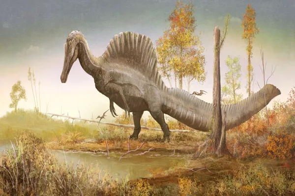Spinosaurus – Dinosaur That Can Swim