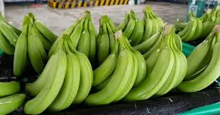 Sustainable Bananas