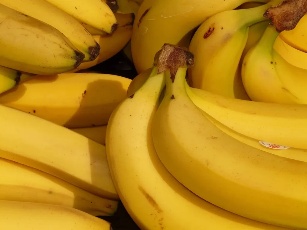A bunch of ripe yellow bananas, representing the final stage of banana development, highlighting the results of successful banana cultivation through lab banana biotechnology.