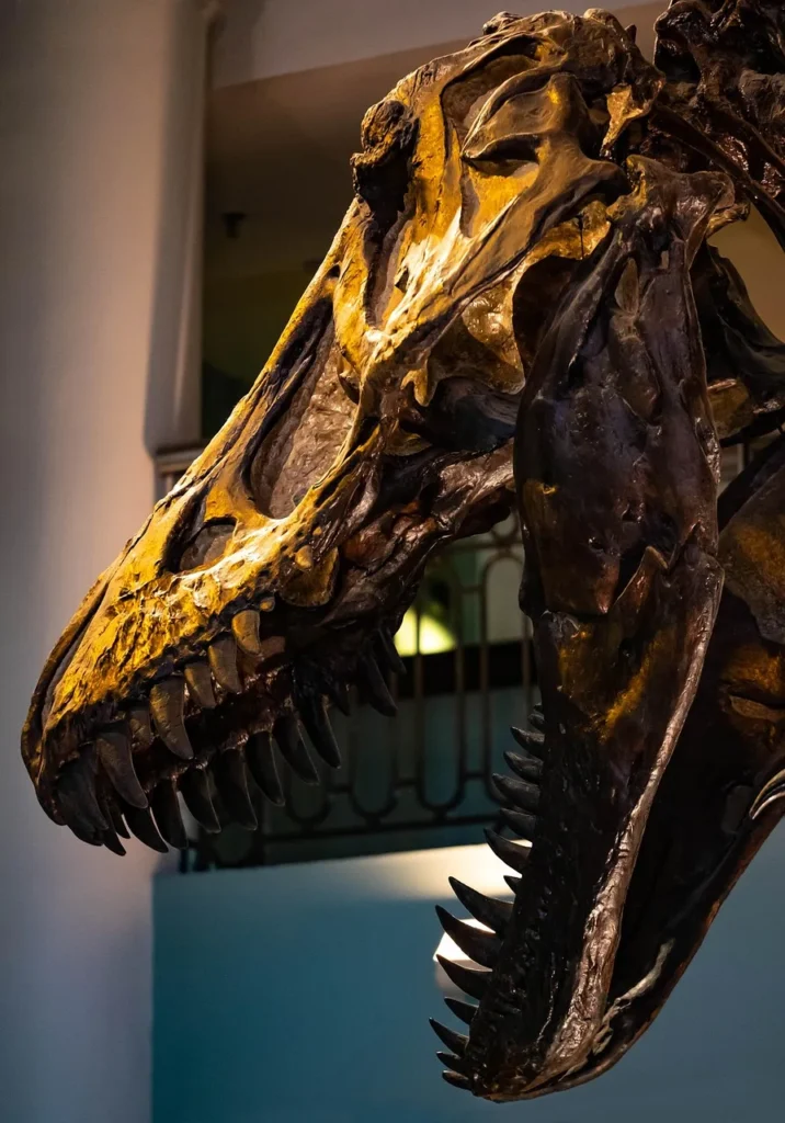 A dramatic close-up of a large, dark dinosaur skull fossil with textured bone and prominent sharp teeth, illuminated with a golden hue, displayed indoors against a blurred background.