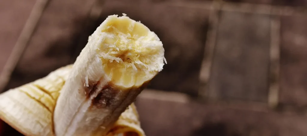 A macro close-up of a peeled, partially eaten banana showing the white inner fruit starting to develop small brown spots and fibrous texture against a blurred background.